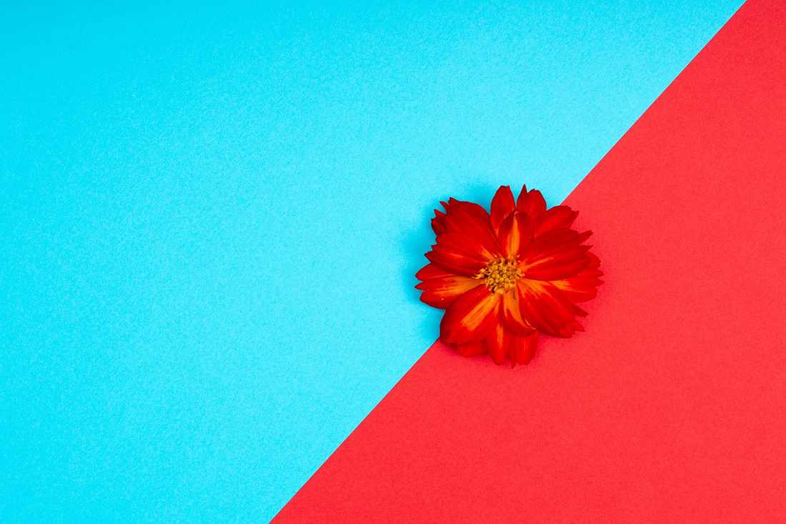 Critica – A Porta ao Lado